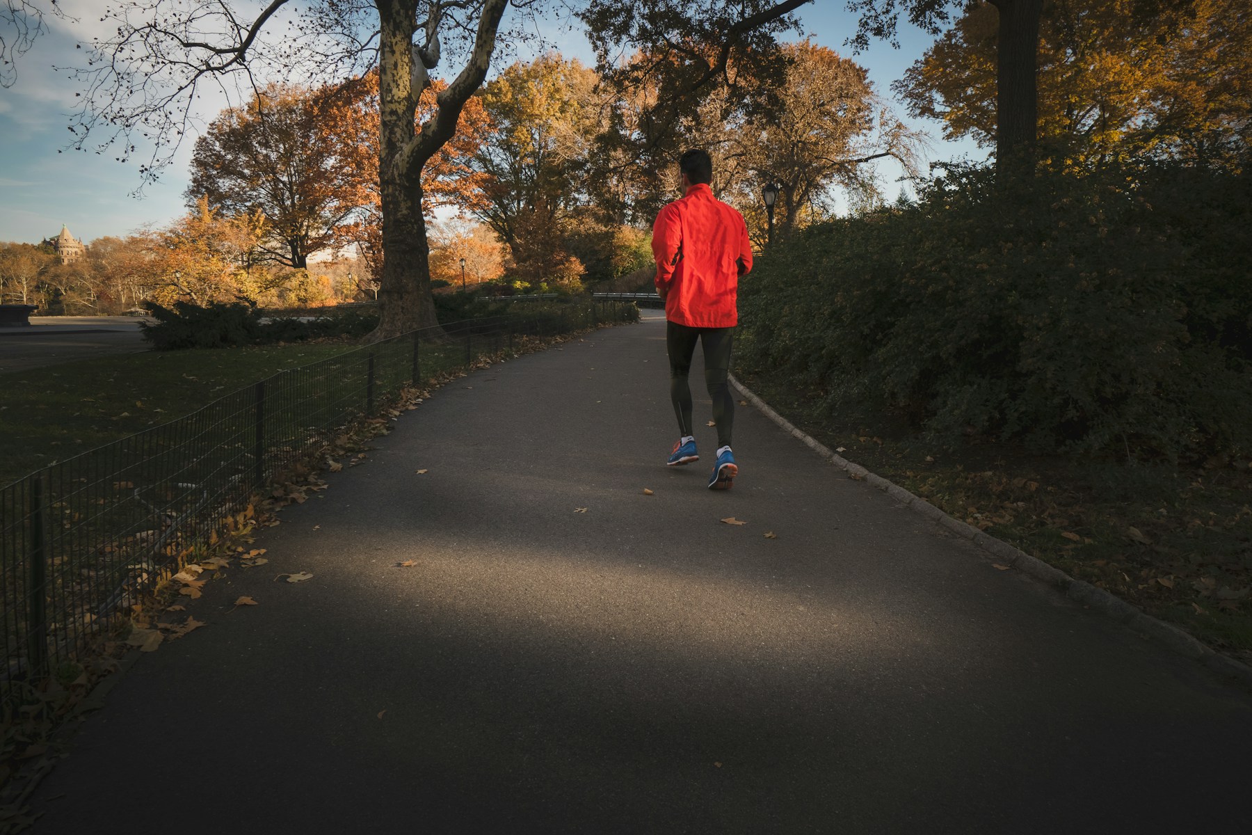 木々に囲まれた公園の道を走るランナーの後ろ姿