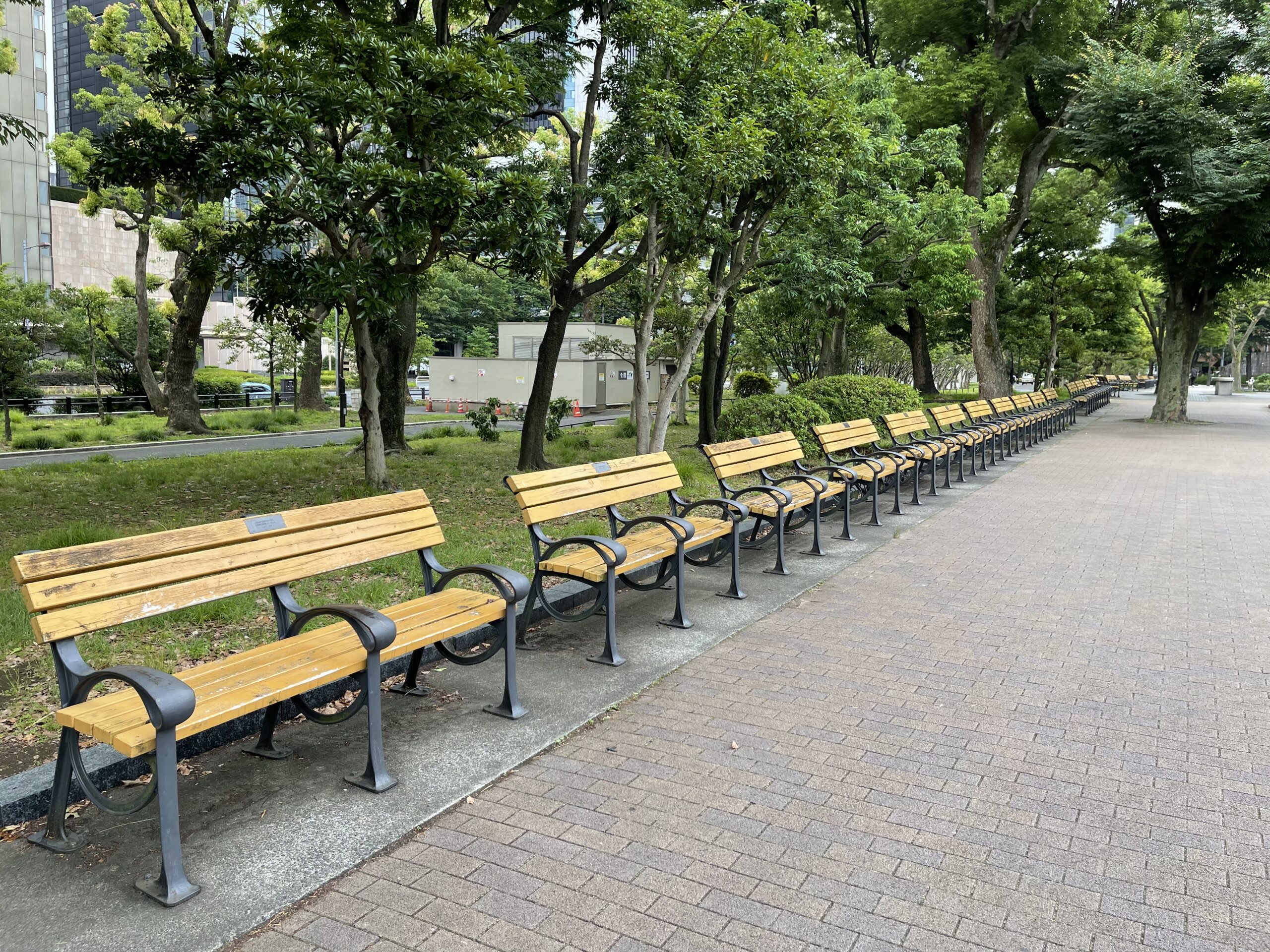 緑に囲まれた日比谷公園の道と空のベンチ