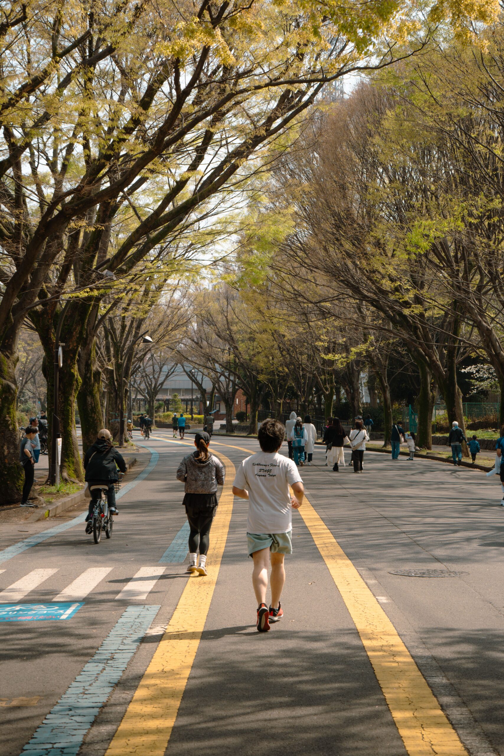 木々の並ぶ公園の道を走る人と行き交う人々