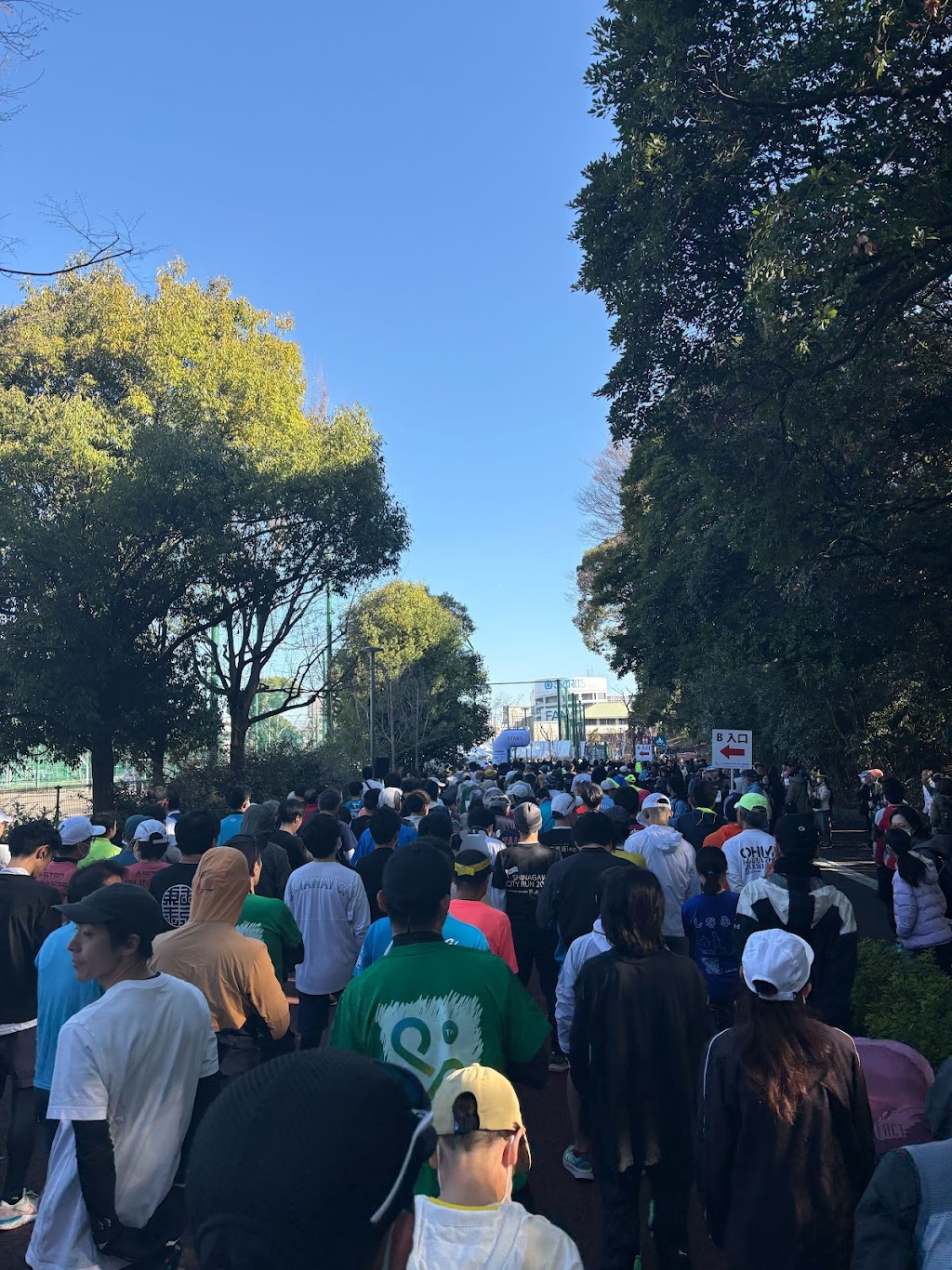 木々に囲まれた会場でスタートを待つランナーたち